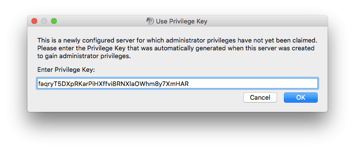 Memasukkan privileged key untuk server TeamSpeak 3