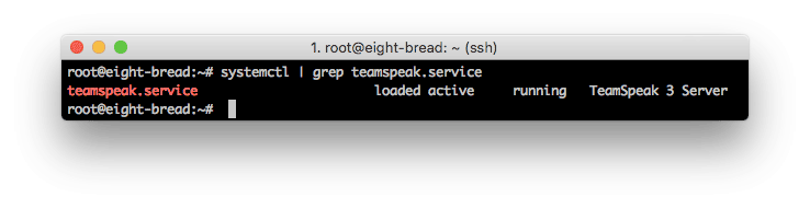 Server TeamSpeak berhasil dijalankan