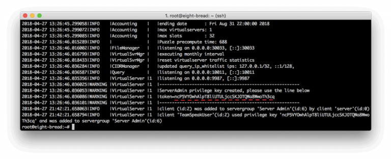 token server TeamSpeak 3