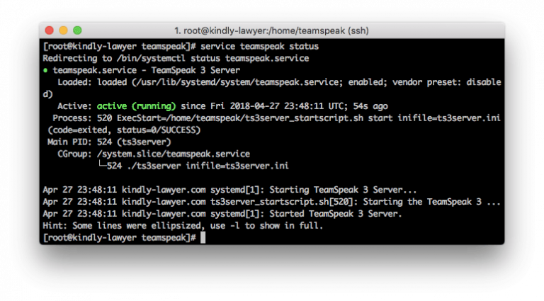 Report status server TeamSpeak 3