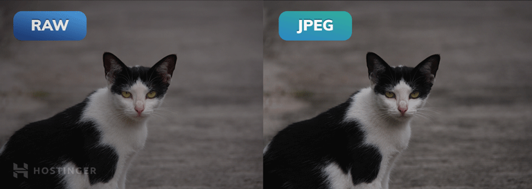 raw vs jpg