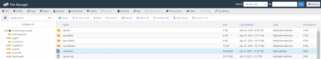 public_html di file manager