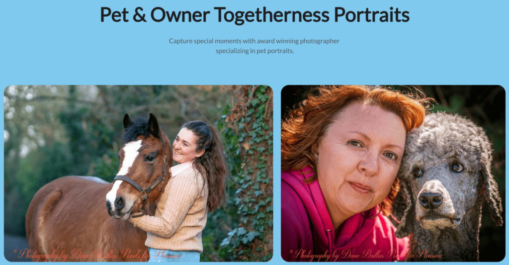 halaman website fotografi dave brillus
