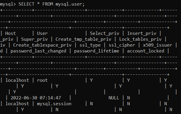 Hasil query MySQL menampilkan semua informasi dari tabel user