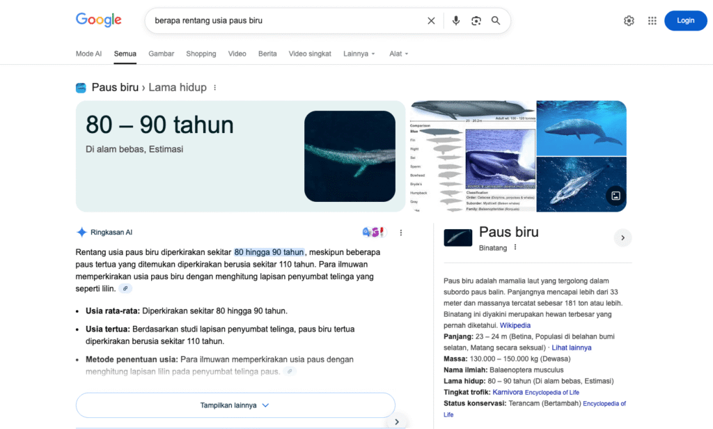 Contoh halaman pencarian Google menampilkan hasil AI overview tentang usia paus biru