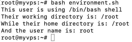 What Are Bash Variables and How to Work with Them on Linux
