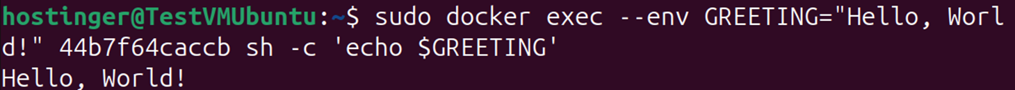 How to use docker exec command in containers