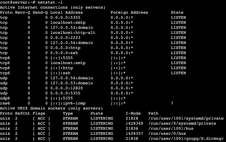 The netstat command in Linux