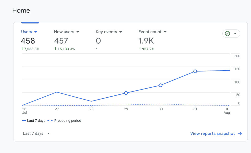 Panoramica dei visitatori di un sito web su Google Analytics