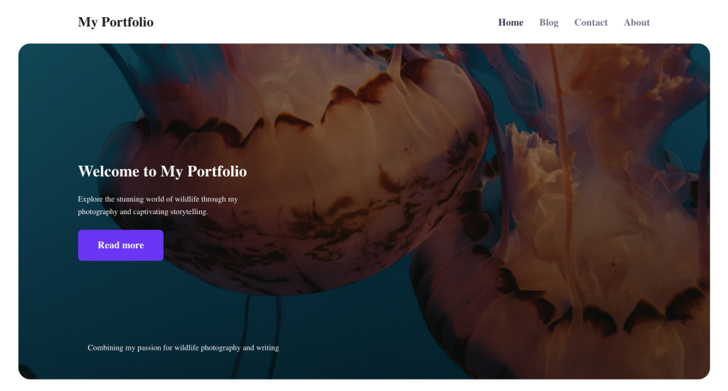 Design del tema per blog di Hostinger