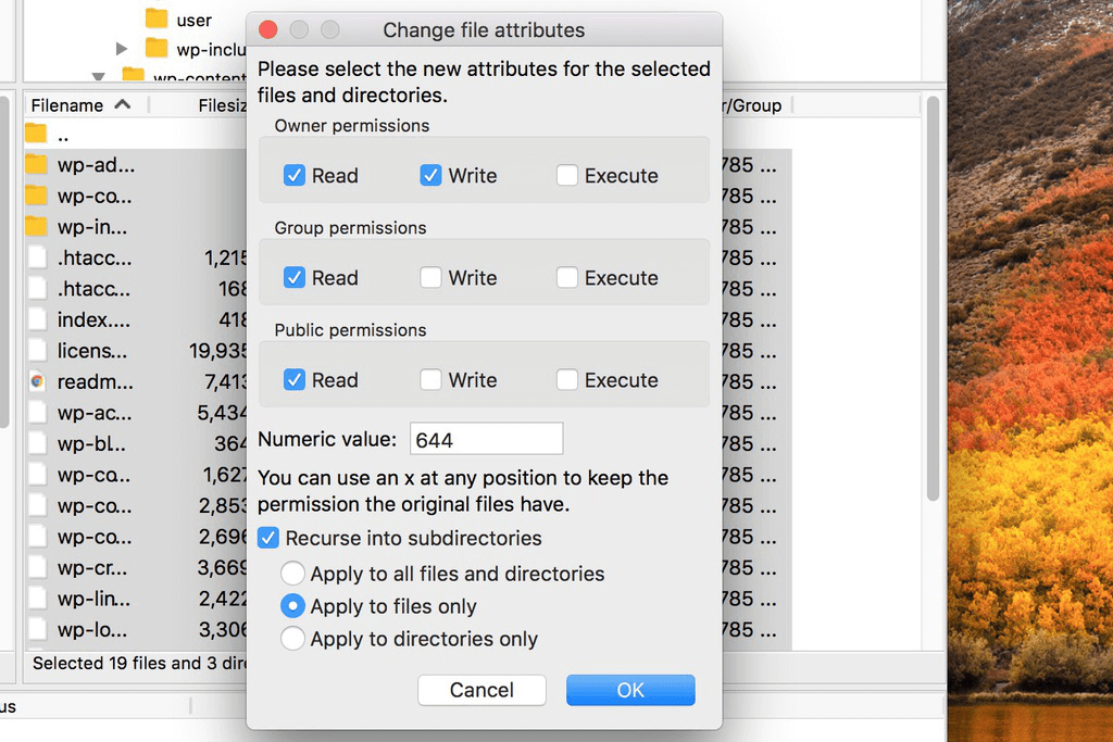 Schermata della finestra di modifica degli attributi del file di FileZilla impostata per applicarla solo ai file