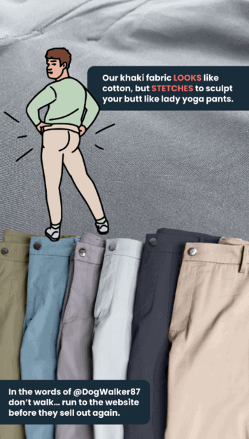 La newsletter a fumetti di Birddog, che mostra la battuta finale