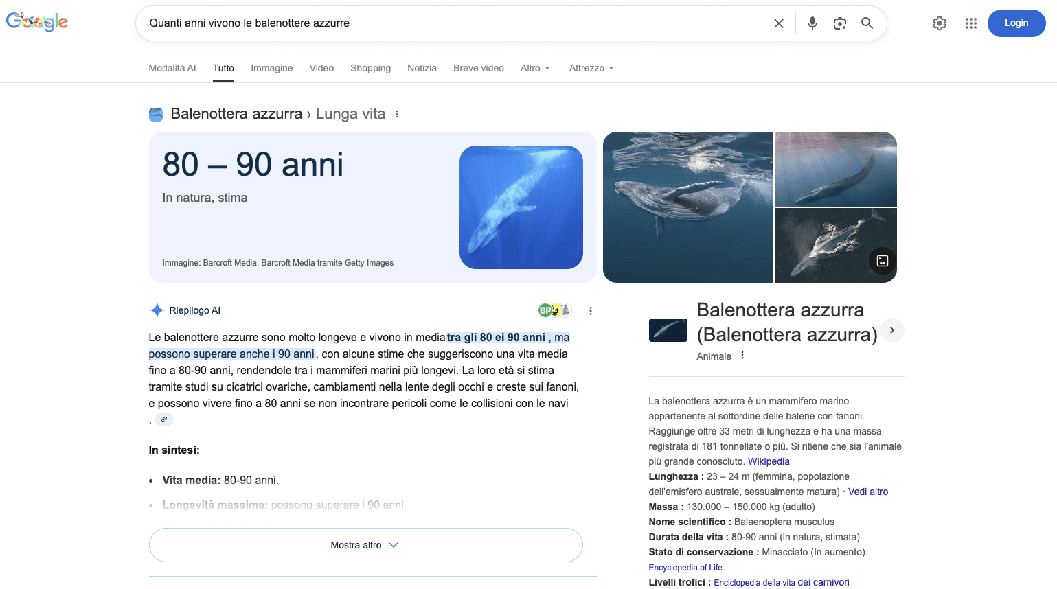 Un esempio dell'AI Overview di Google