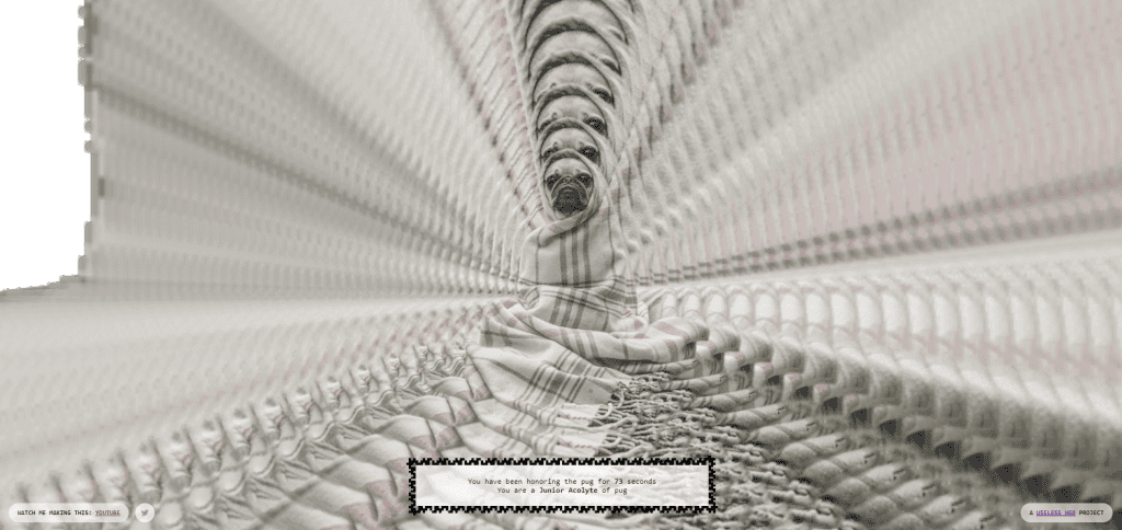 Carlino in un tappeto Pagina iniziale