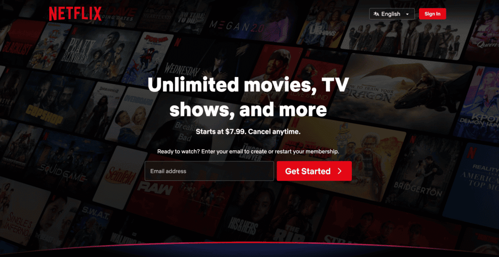 Homepage di Netflix ed esempio di sito web di media