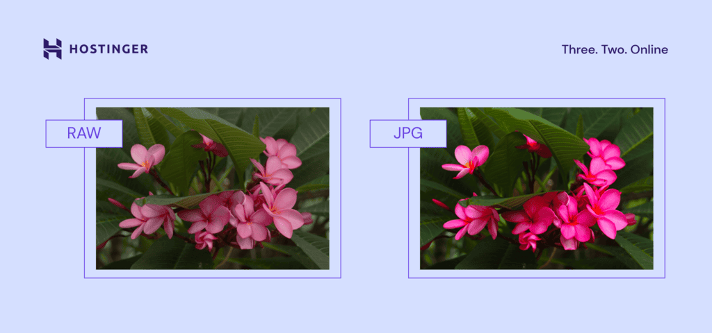 Confronto affiancato di un'immagine in formato RAW e JPEG.