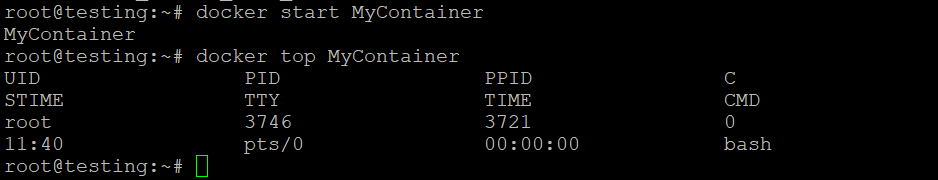Docker topコマンドが実行中のコンテナのトッププロセスを表示している様子