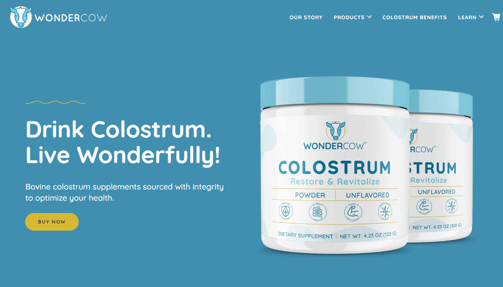 WonderCowのWebサイト