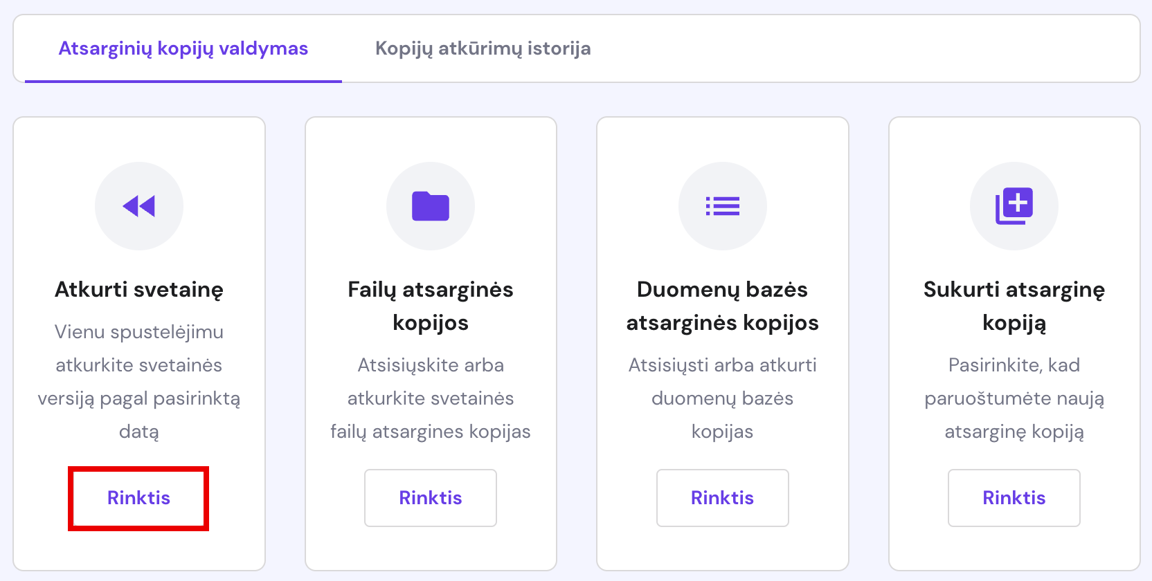 Atsarginių versijų parinktys