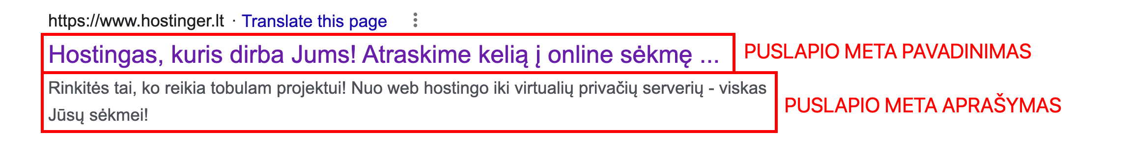 Puslapio meta pavadinimas ir aprašymas Google paieškos rezultatuose