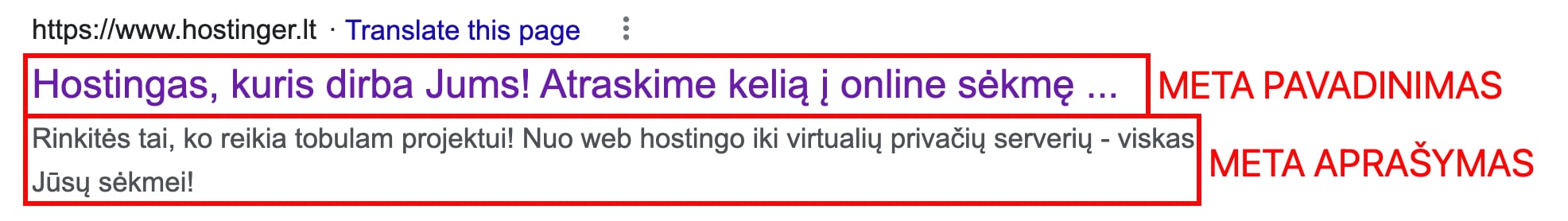 Puslapio meta pavadinimo ir aprašymo pavyzdys Google paieškos variklyje