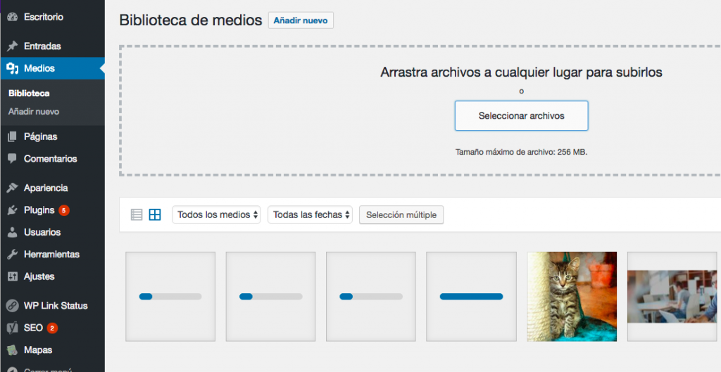 Subiendo m&uacute;ltiples im&aacute;genes a la vez.