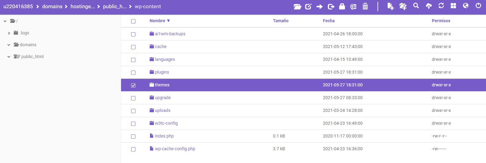 Carpeta themes en el Administrador de archivos de Hostinger