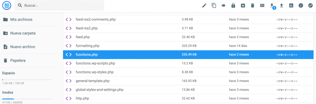 El archivo functions.php en el gestor de archivos Hostinger