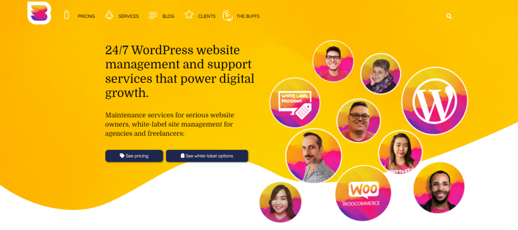 Página de inicio de WPBuffs