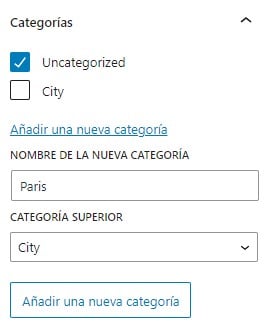 Visualización de la opción para añadir una nueva categoría en el editor visual