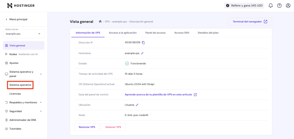 Vista general de VPS en hPanel