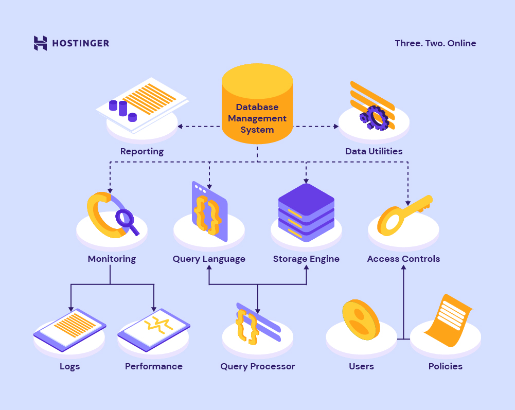 What Is a DBMS? Understanding Database Management System