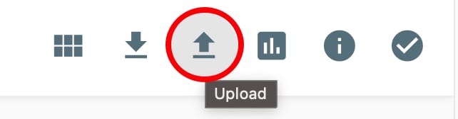 The