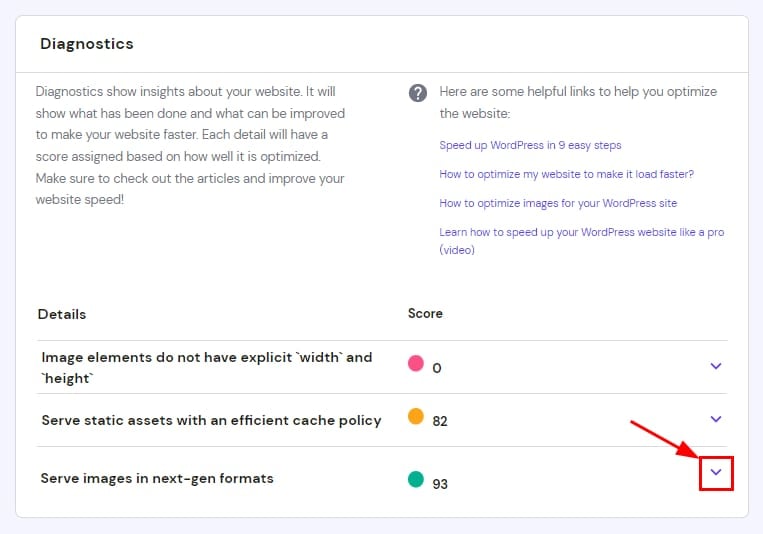 The Diagnostic sections on PageSpeed Insights showing how to get more details about each item