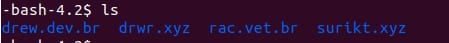 The output of the ls command