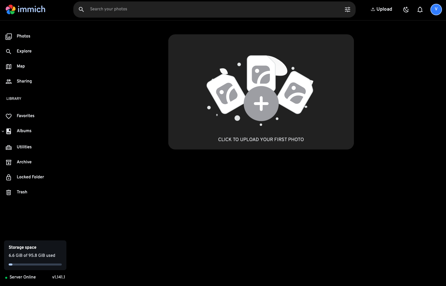 Immich interface