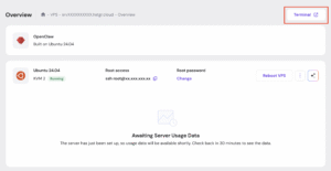 OpenClaw Hostinger Terminal
