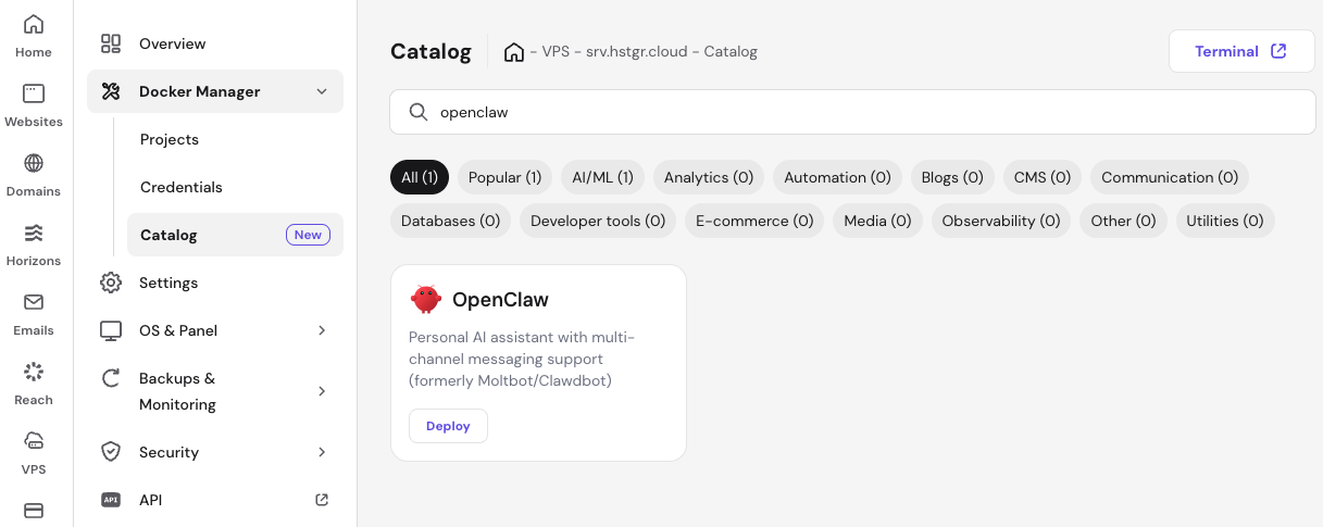 OpenClaw installation in Docker catalog