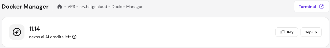 nexos.ai credits topup