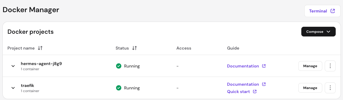 Hermes agent terminal access