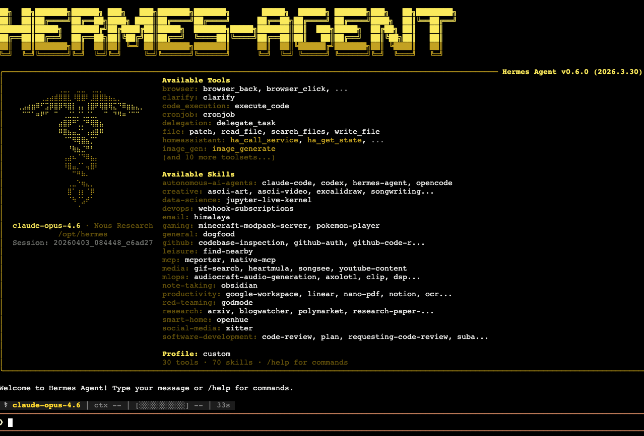 How to get started with Hermes agent at Hostinger