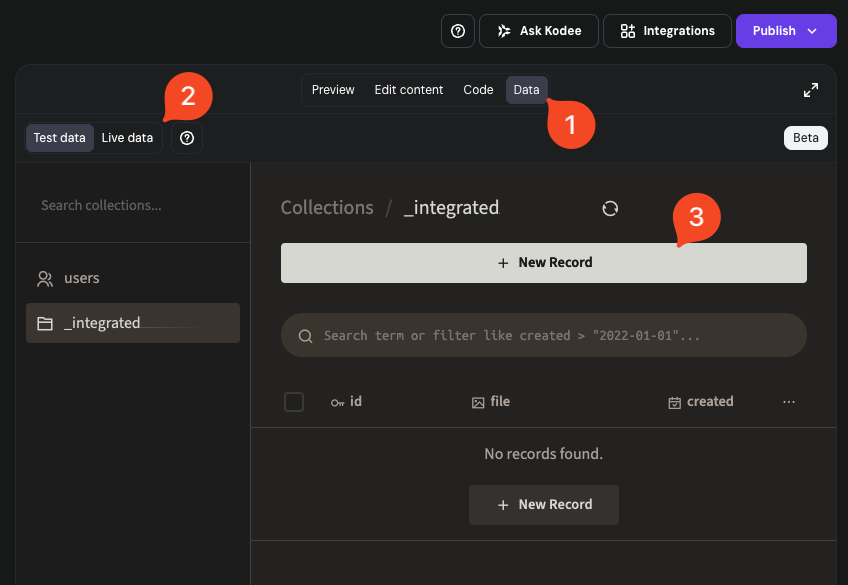 Horizons integrated backend data tab with highlighted New Record button on _integrated collection