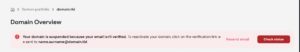 Domain Overview page with suspension notice and check status button