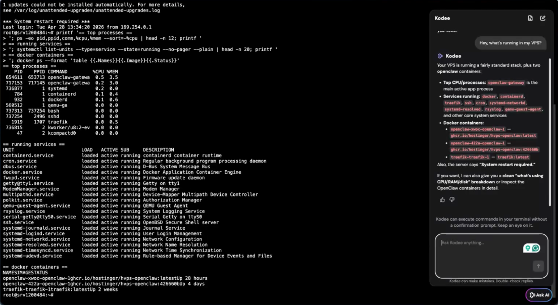 Kodee inside web terminal