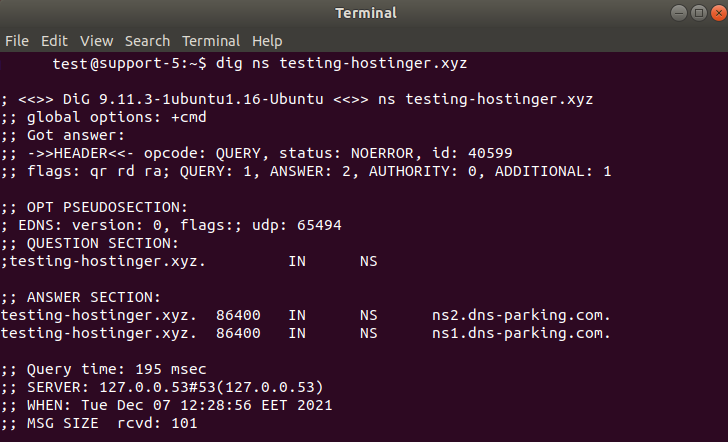 Linux terminal dig ns command output