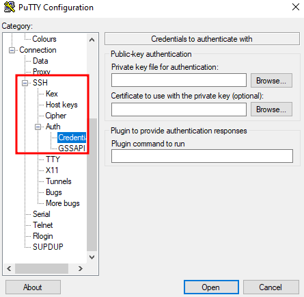 The credentials window on putty client
