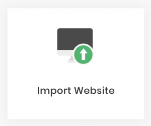 nút Import Website