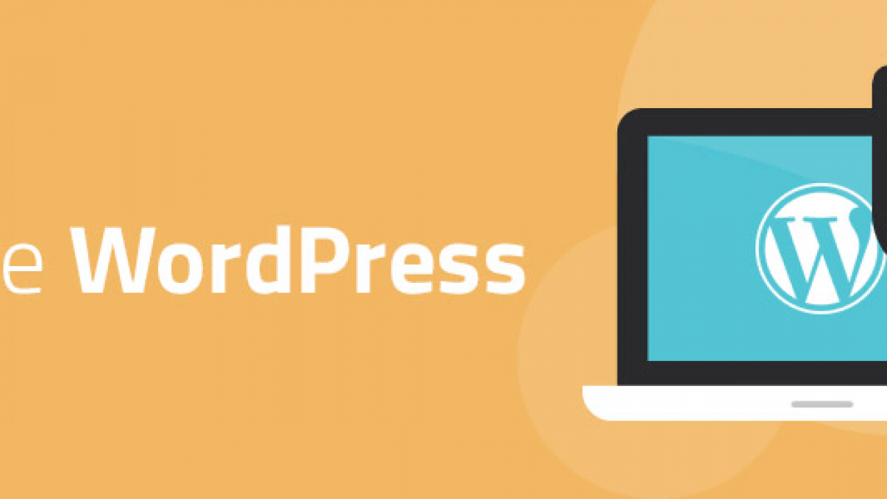 WordPress Tips: Forget the Administrator Password How To Do?