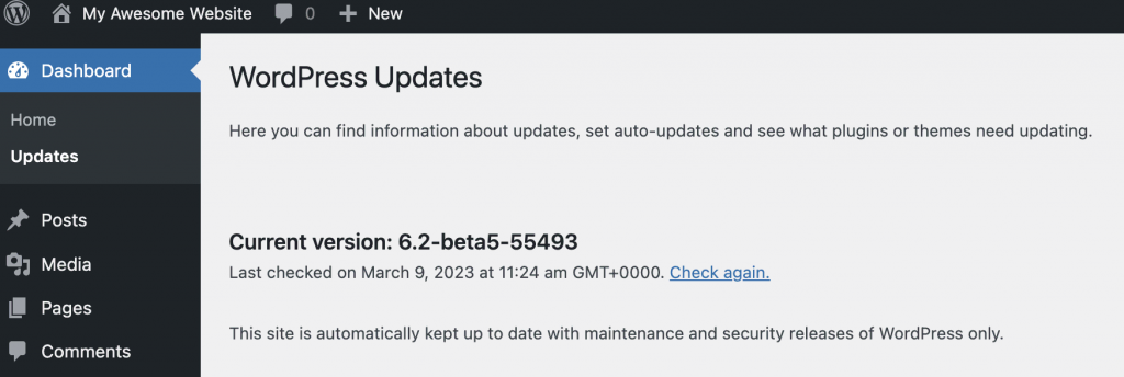 Screenshot of the WordPress Dashboard updates tab