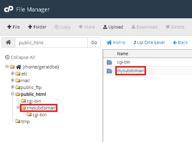 Subdomain directory in File Manager.